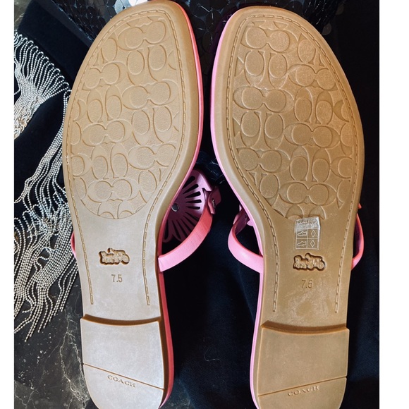 Coach Julia Tea Rose Sandals NWOT - Picture 8 of 13